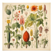  bloemen foto afdruk (Voorkant)