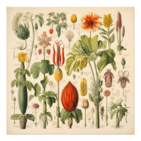 bloemen