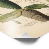  bloemen foto afdruk (Hoek)