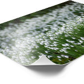 Bloemen Foto Afdruk (Hoek)