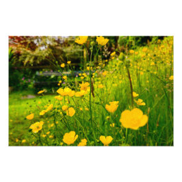 Bloemen Foto Afdruk