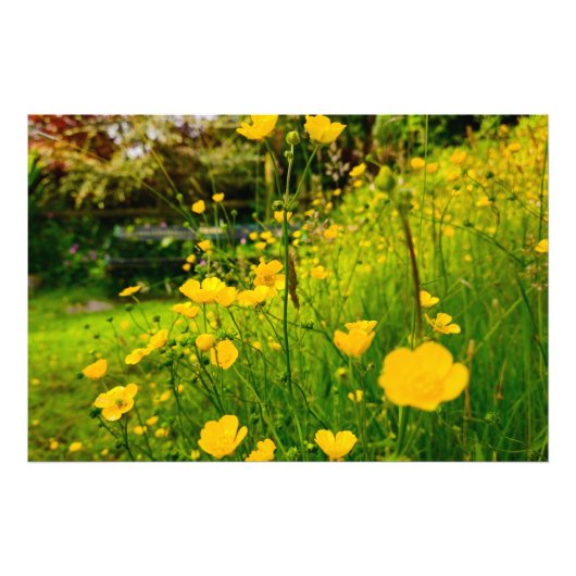 Bloemen Foto Afdruk (Voorkant)