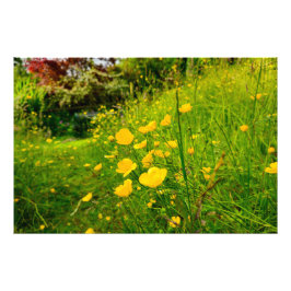 Bloemen Foto Afdruk