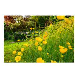 Bloemen Foto Afdruk
