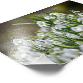 Bloemen Foto Afdruk (Hoek)