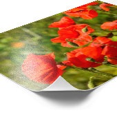 Bloemen Foto Afdruk (Hoek)