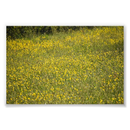 Bloemen Foto Afdruk (Voorkant)