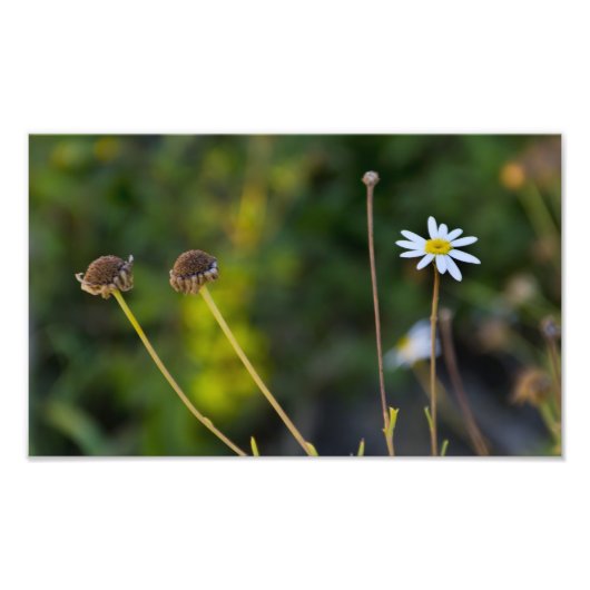 Bloemen Foto Afdruk (Voorkant)