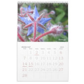 Bloemen foto kalender (Feb 2027)