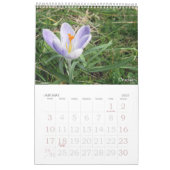 Bloemen foto kalender (Jan 2027)