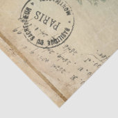 Bloemen Frans  Blauw Roze Ephemera Decoupage Tissuepapier (Detail)