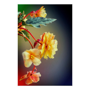 Bloemen, gele bloemen, bloemblaadjes perfect poster