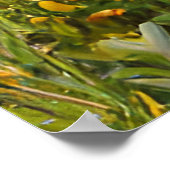 Bloemen gele roze blauwgroen bewatering kan boerde poster (Hoek)