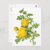 bloemen, gele rozen van Redoute Briefkaart (Voorkant / Achterkant)