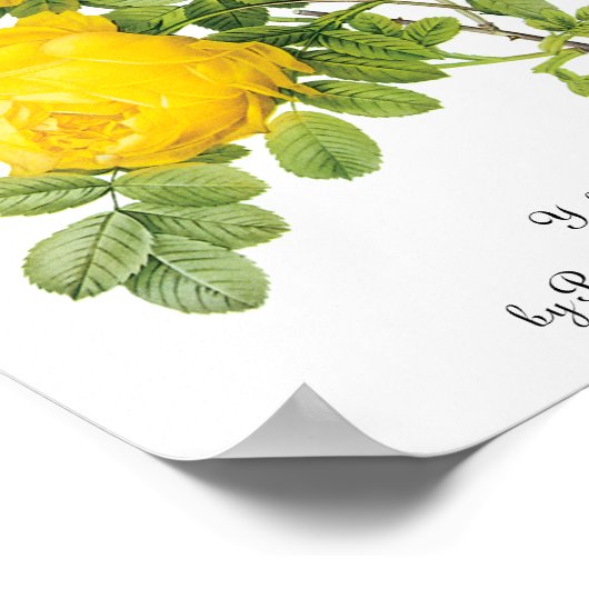  bloemen, gele rozen van Redoute Poster (Hoek)