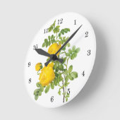  bloemen, gele rozen van Redoute Ronde Klok (Hoek)