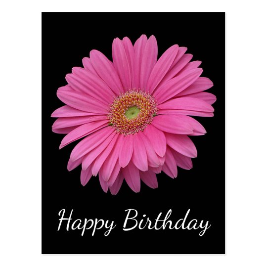bloemen gelukkige verjaardag roze gerbera daisy briefkaart | zazzle.nl