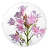 Bloemen Glas Lade Greep (Voorkant)