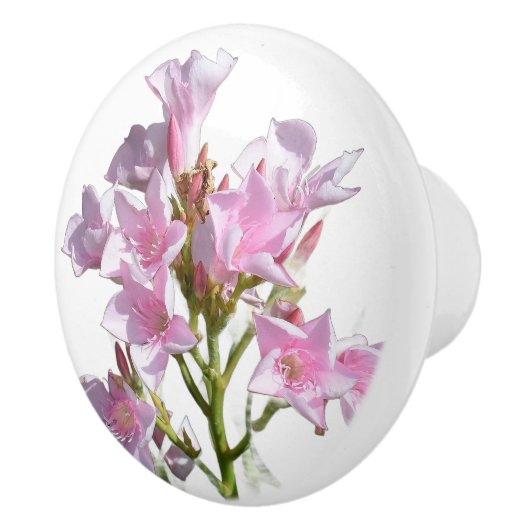 Bloemen Glas Lade Greep (Rechts)
