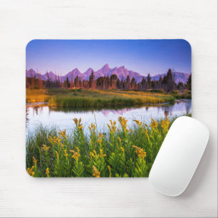 Bloemen   Grand Teton National Park, Wyoming Muismat
