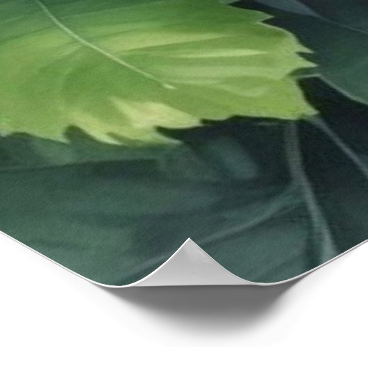 Bloemen Groen Elegante Waterverf Poster (Hoek)