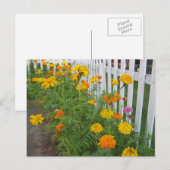 Bloemen & Hekwerk Briefkaart (Voorkant / Achterkant)
