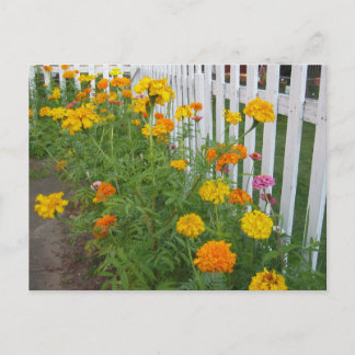 Bloemen & Hekwerk Briefkaart