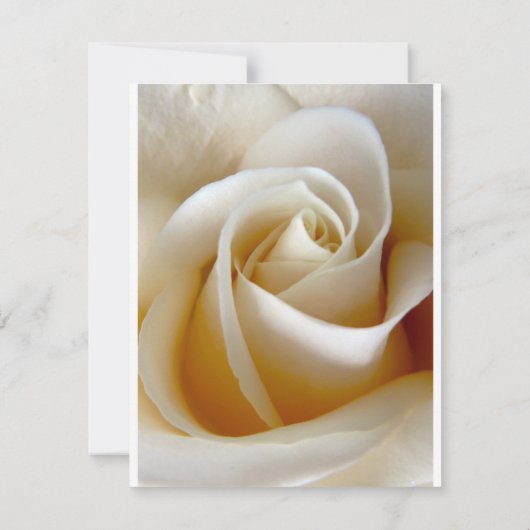 Bloemen Huwelijks Richtingen Insteekkaart Kaart (Achterkant)