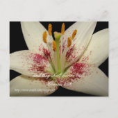 Bloemen Huwelijksuitnodiging witte lelie Uitnodiging Briefkaart (Achterkant)