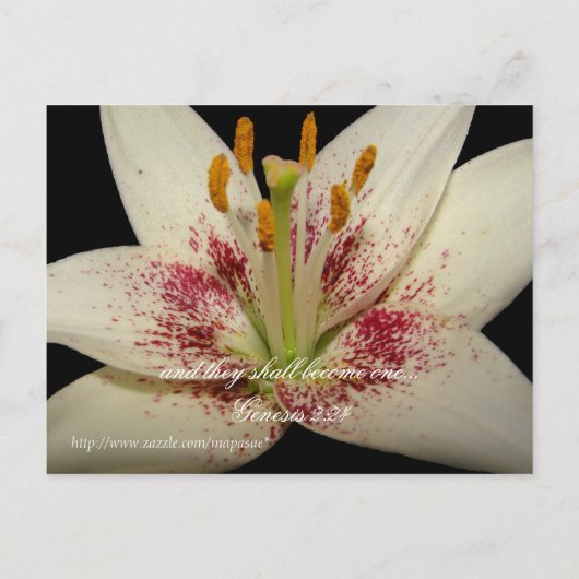 Bloemen Huwelijksuitnodiging witte lelie Uitnodiging Briefkaart (Achterkant)