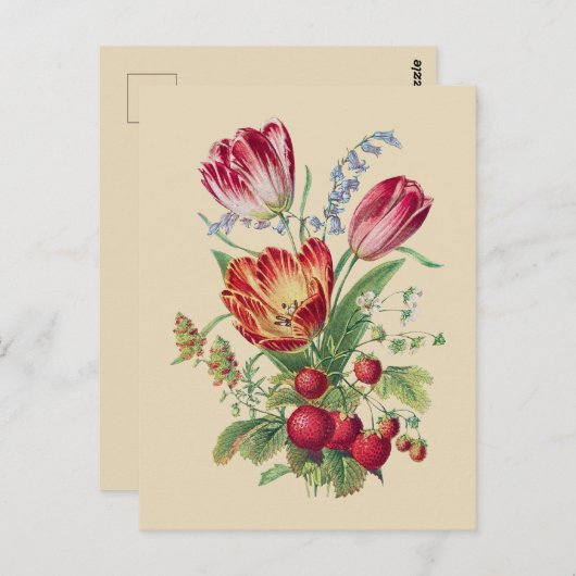  bloemen I Briefkaart (Voorkant / Achterkant)