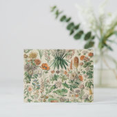  bloemen Illustratie Adolphe Millot Briefkaart (Staand voorkant)