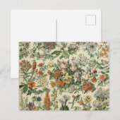  bloemen Illustratie Adolphe Millot Briefkaart (Voorkant / Achterkant)