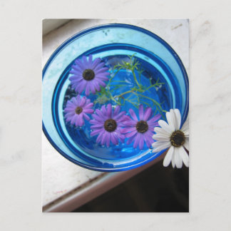 Bloemen in Blauwe Zwembad Briefkaart