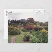 Bloemen in Boquete Briefkaart (Voorkant / Achterkant)