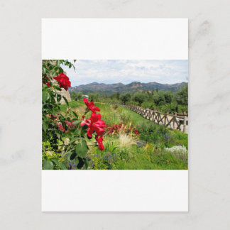 Bloemen in Castello di Amorosa Briefkaart