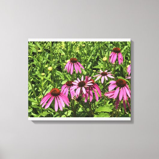 Bloemen in Chateau Morrisette Winery, Floyd, VA Canvas Afdruk (Voorkant)