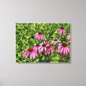 Bloemen in Chateau Morrisette Winery, Floyd, VA Canvas Afdruk (Voorkant)