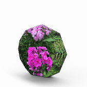 Bloemen in Chateau Morrisette Winery, Floyd, VA Fotoblokken (Rechts)