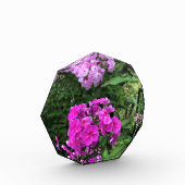 Bloemen in Chateau Morrisette Winery, Floyd, VA Fotoblokken (Links)