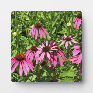 Bloemen in Chateau Morrisette Winery, Floyd, VA Fotoplaat