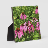 Bloemen in Chateau Morrisette Winery, Floyd, VA Fotoplaat (Voorkant)