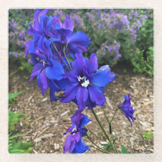 Bloemen in Chateau Morrisette Winery, Floyd, VA Glazen Onderzetter (Voorkant)