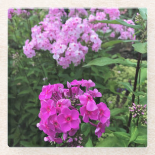 Bloemen in Chateau Morrisette Winery, Floyd, VA Glazen Onderzetter