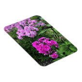 Bloemen in Chateau Morrisette Winery, Floyd, VA Magneet (Rechterzijde)