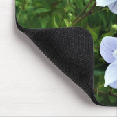 Bloemen in Chateau Morrisette Winery, Floyd, VA Muismat (Hoek)