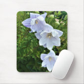 Bloemen in Chateau Morrisette Winery, Floyd, VA Muismat (Met muis)