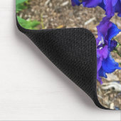 Bloemen in Chateau Morrisette Winery, Floyd, VA Muismat (Hoek)