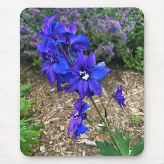 Bloemen in Chateau Morrisette Winery, Floyd, VA Muismat (Voorkant)