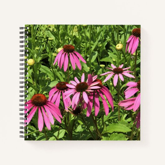 Bloemen in Chateau Morrisette Winery, Floyd, VA Notitieboek (Voorkant)